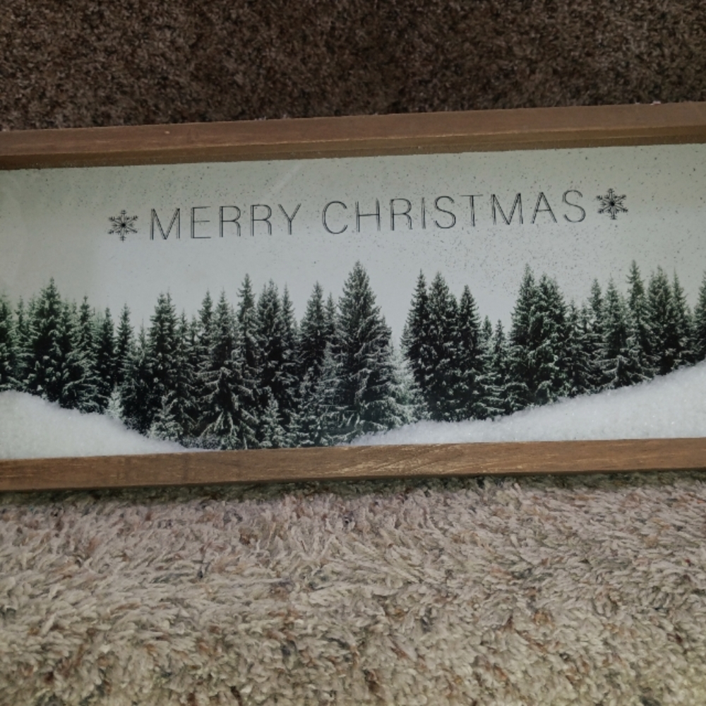 Merry Christmas sign with snow inside